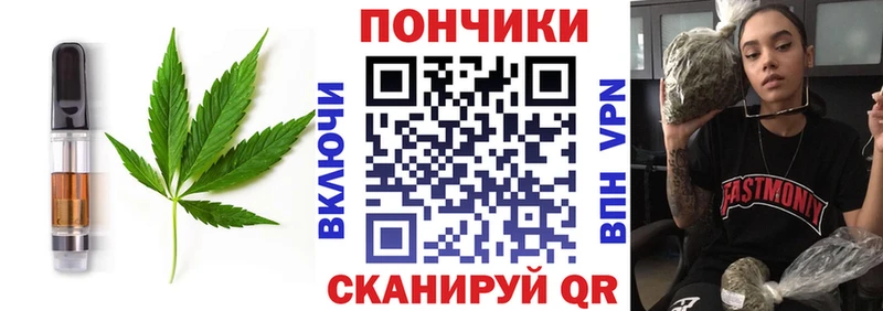 магазин  наркотиков  Елизаветинская  MEGA ССЫЛКА  Печенье с ТГК марихуана 