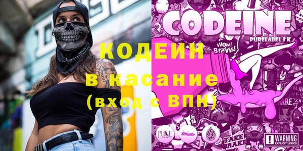 шишки Нижний Тагил