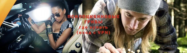 mdpv Лихославль