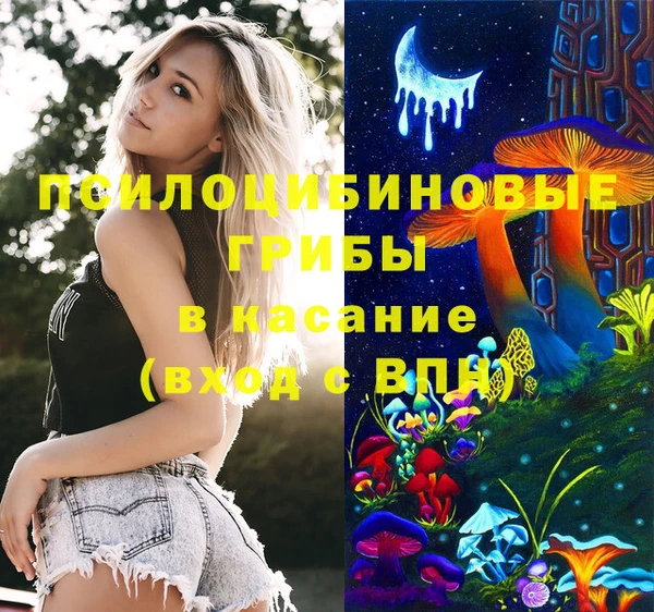 mdpv Лихославль
