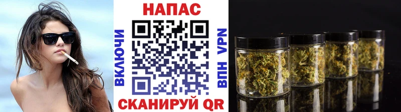 купить наркотик  Елизаветинская  Бошки марихуана гибрид 